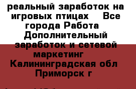 Rich Birds-реальный заработок на игровых птицах. - Все города Работа » Дополнительный заработок и сетевой маркетинг   . Калининградская обл.,Приморск г.